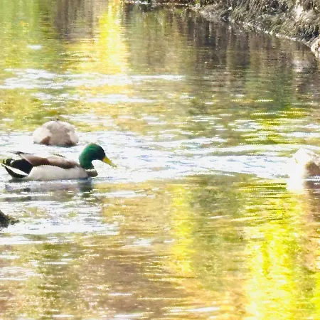 Duck-away Riverside Apartment Cark